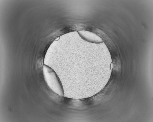 X0000111250425200908131211