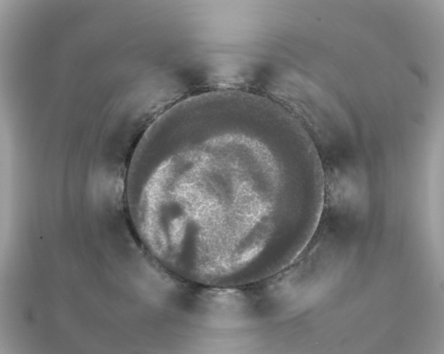 X0000111250427200908131211