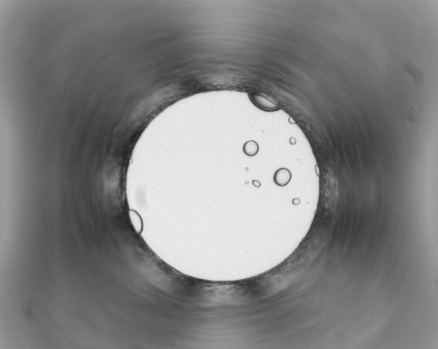 X0000111250428200908131211