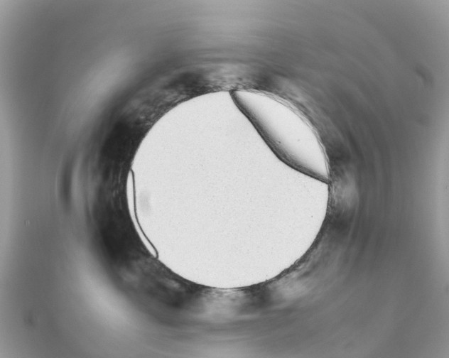 X0000111250429200908131211