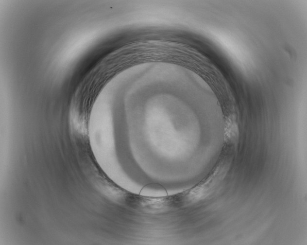 X0000111250431200908131211