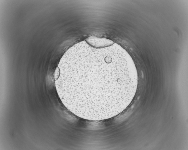 X0000111250432200908131211