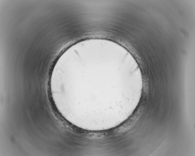 X0000111250434200908131210