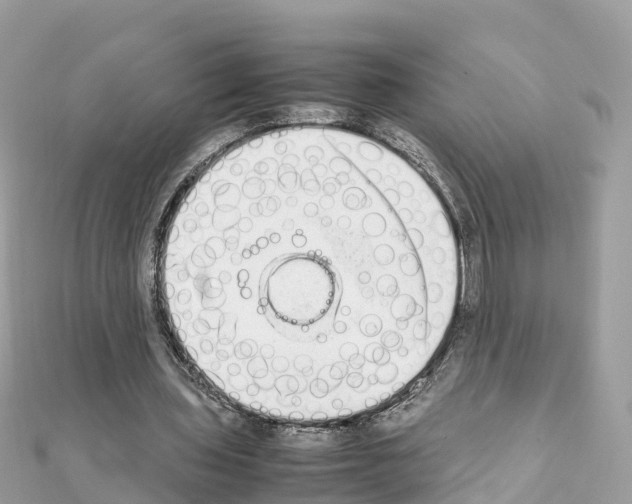 X0000111250435200908131210