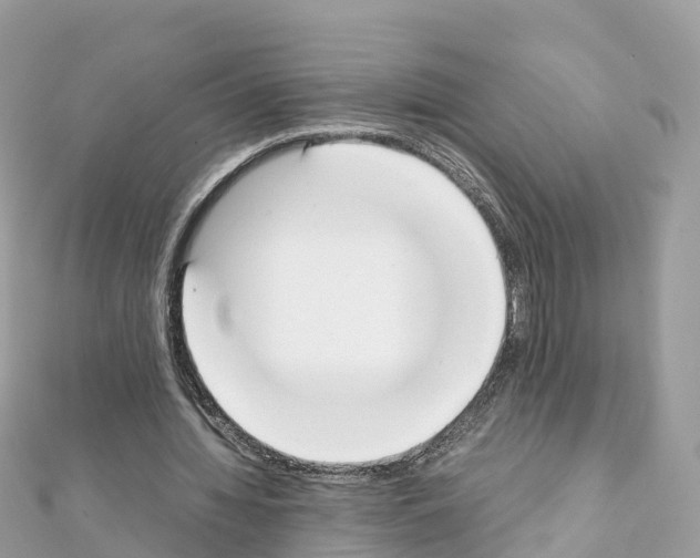 X0000111250436200908131210