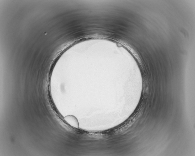 X0000111250437200908131210