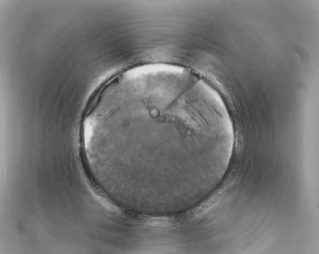 X0000111250438200908131210