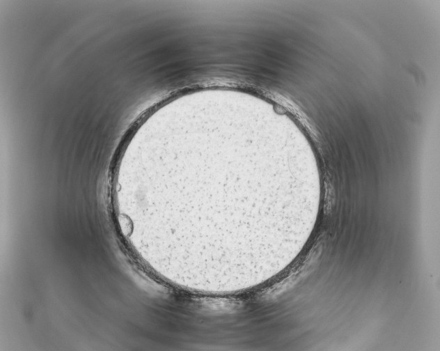 X0000111250439200908131211