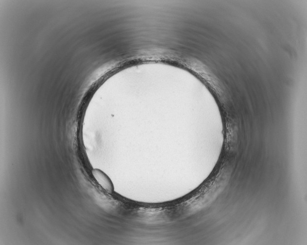 X0000111250440200908131211