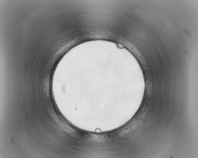 X0000111250442200908131211