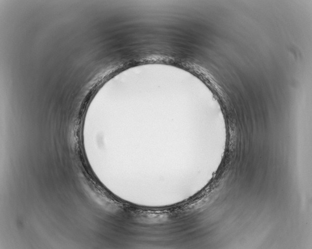 X0000111250443200908131211