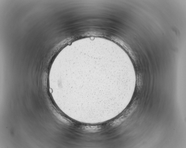 X0000111250445200908131211