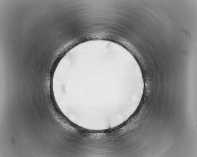 X0000111250446200908131211