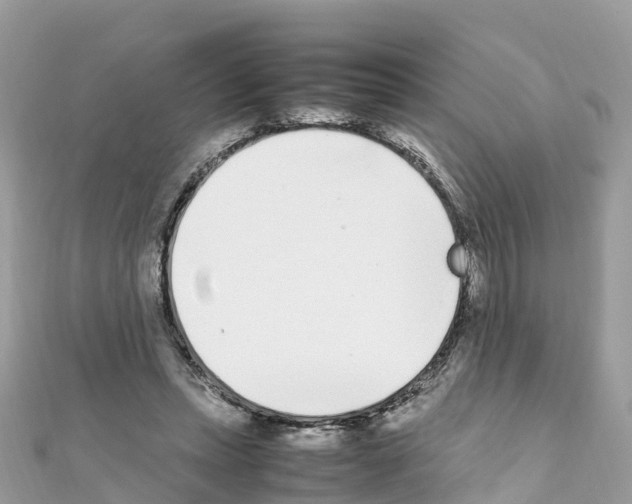 X0000111250447200908131211