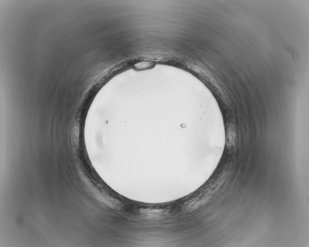 X0000111250448200908131211