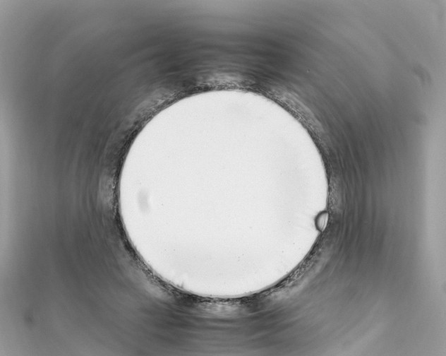 X0000111250449200908131211