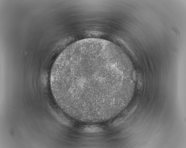 X0000111250451200908131211