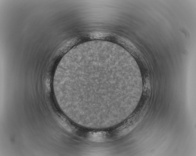 X0000111250452200908131211