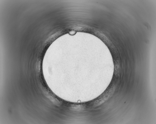 X0000111250454200908131211