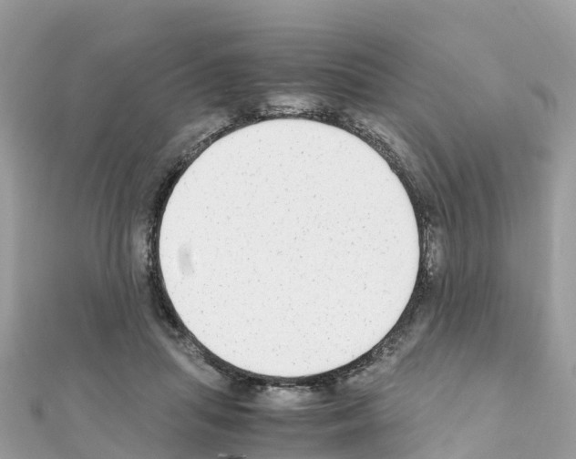 X0000111250455200908131211