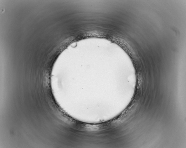 X0000111250457200908131211