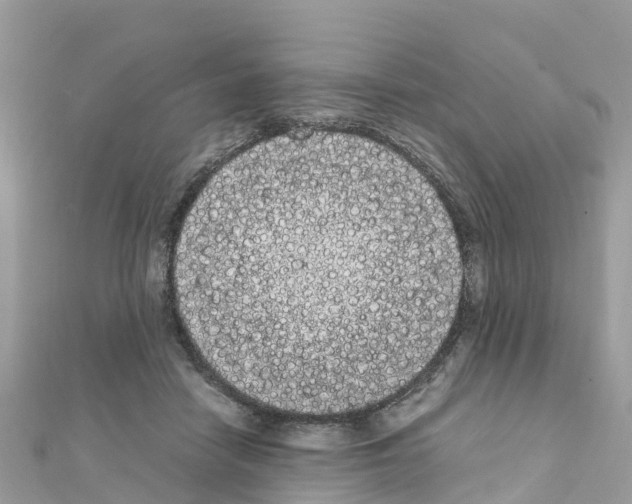 X0000111250458200908131211