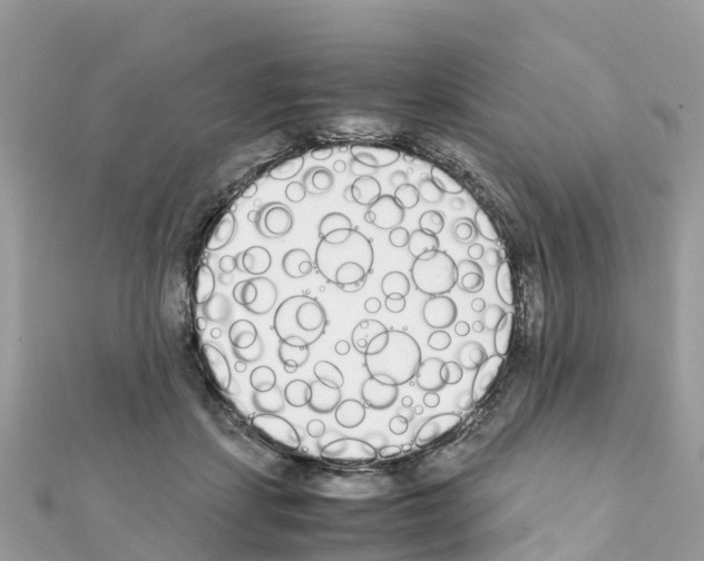 X0000111250459200908131211