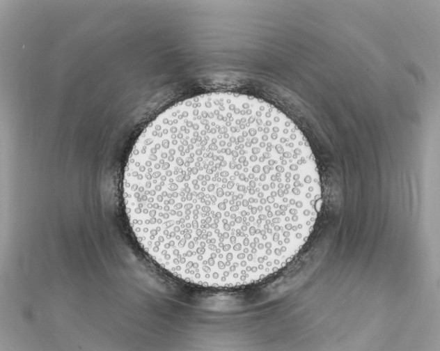 X0000111250460200908131211