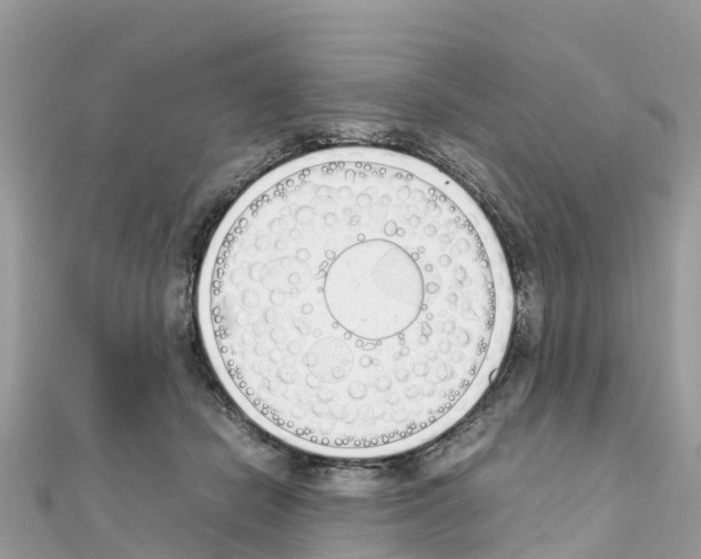 X0000111250462200908131211