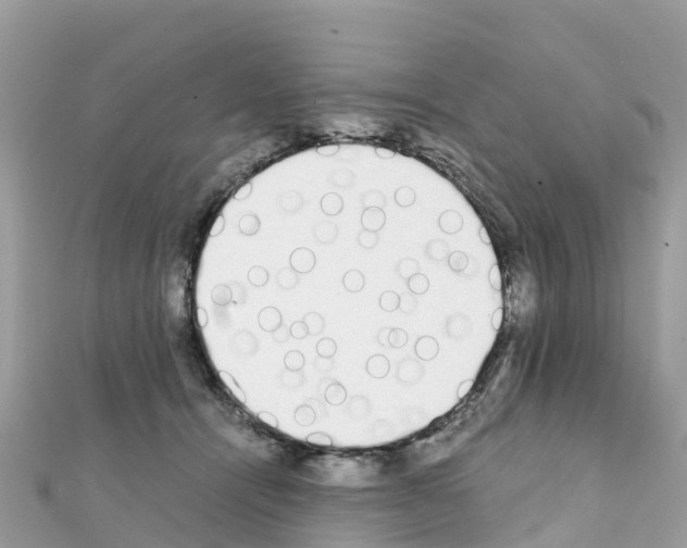 X0000111250464200908131211