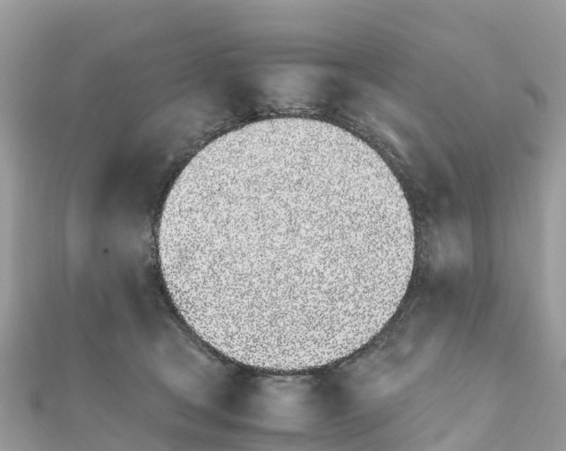 X0000111250465200908131211