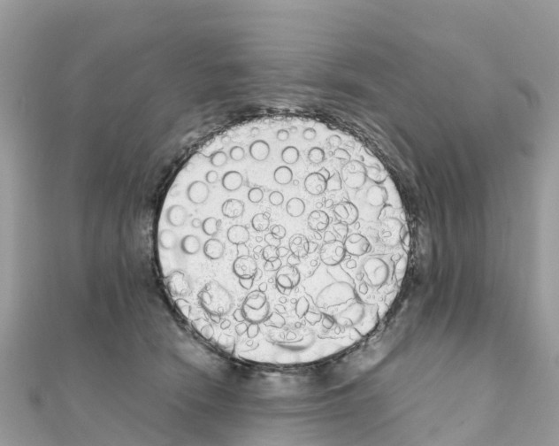 X0000111250466200908131211