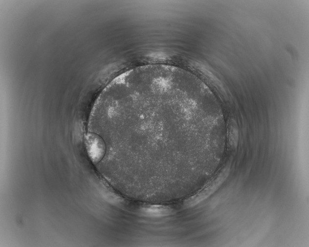 X0000111250467200908131211