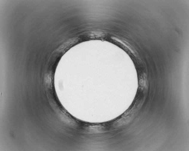 X0000111250468200908131211