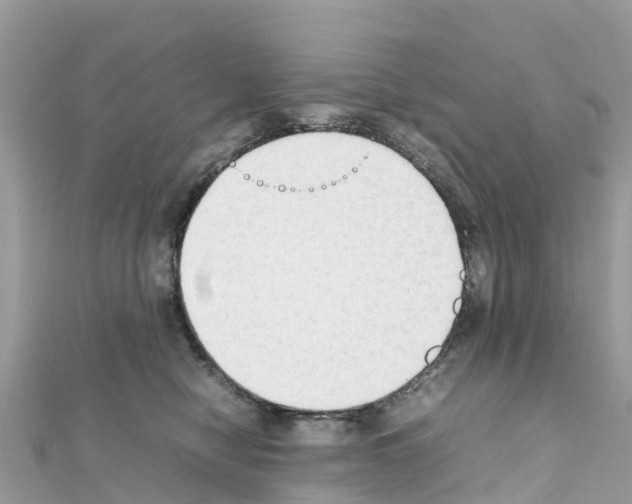 X0000111250470200908131211