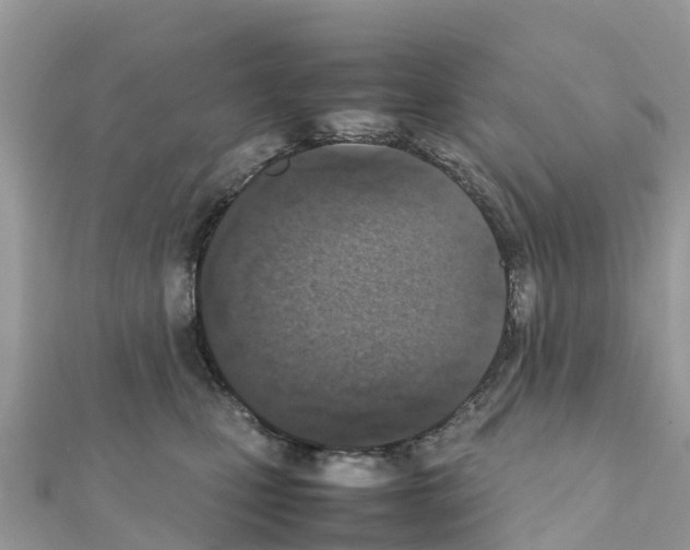 X0000111250471200908131211