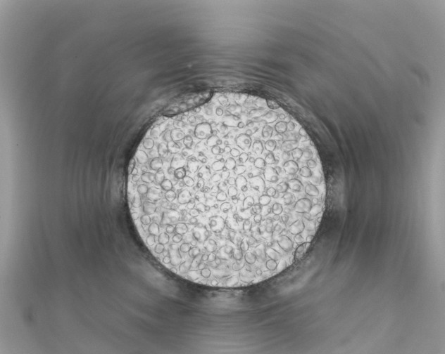 X0000111250474200908131211