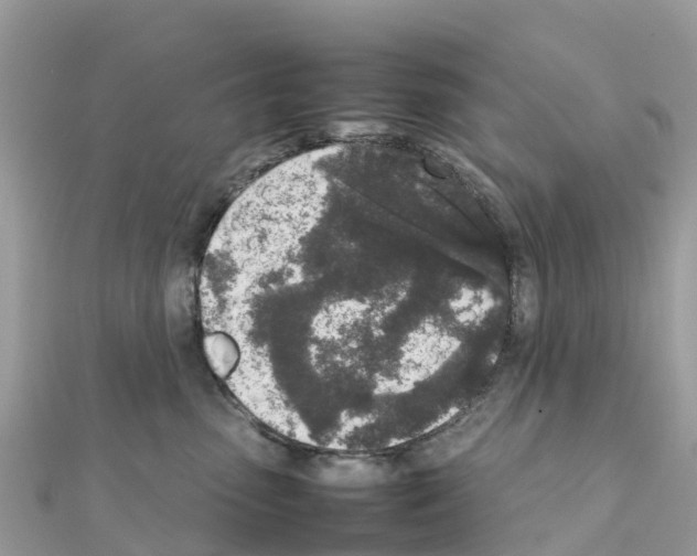 X0000111250475200908131211