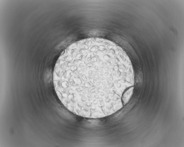 X0000111250478200908131211