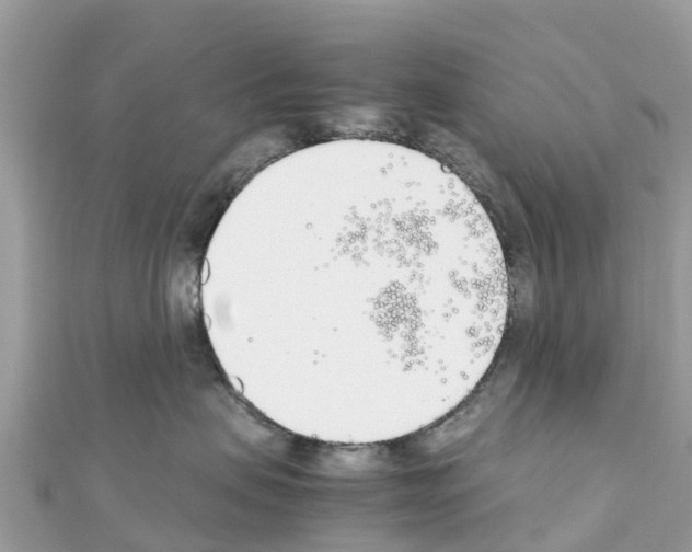 X0000111250479200908131211