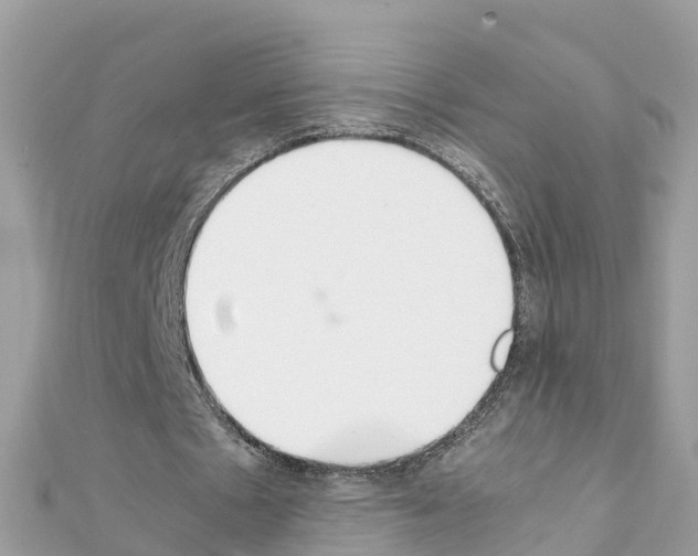 X0000111250481200908131210