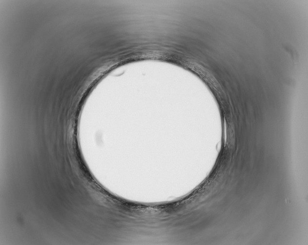 X0000111250483200908131210