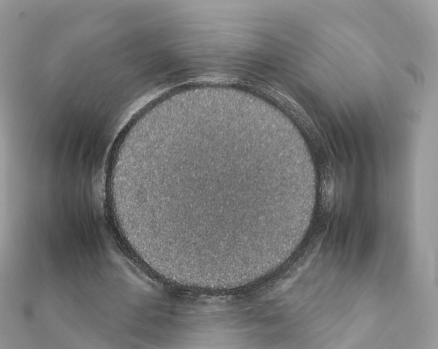 X0000111250484200908131210