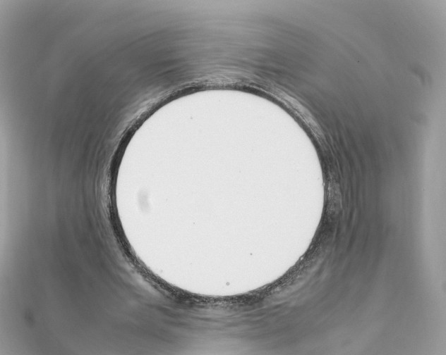 X0000111250485200908131210