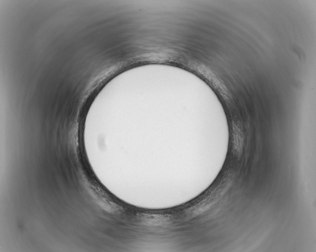 X0000111250486200908131210