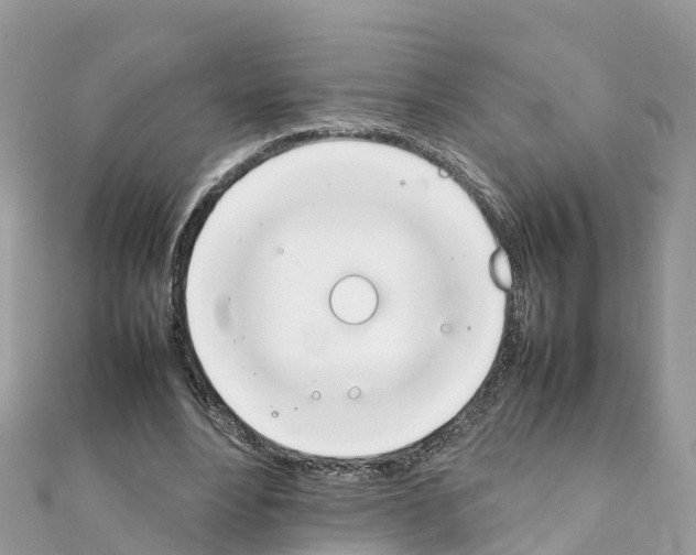 X0000111250488200908131210