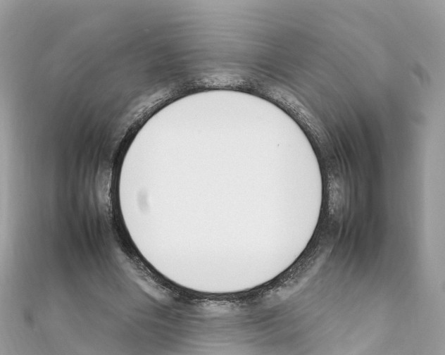 X0000111250490200908131210