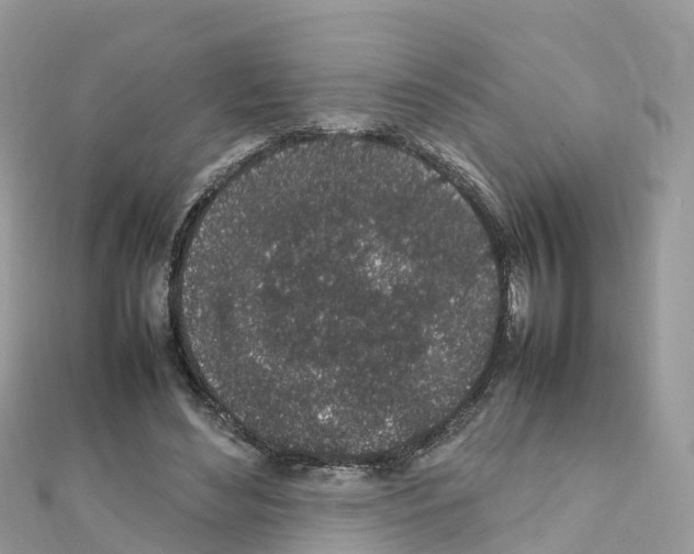 X0000111250492200908131210