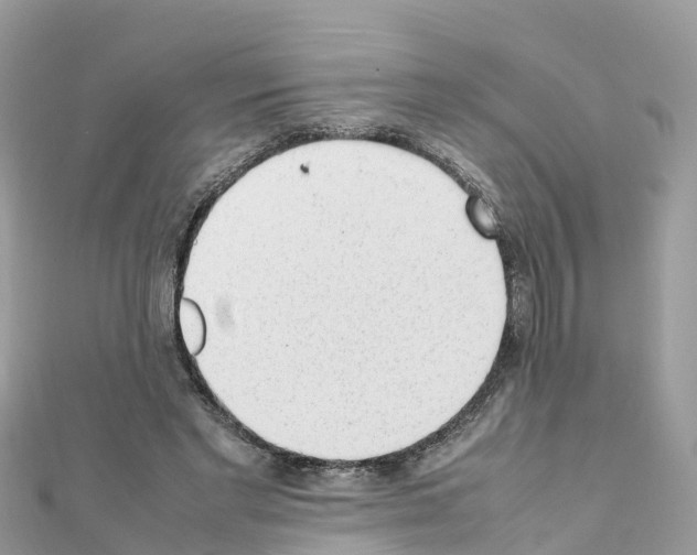 X0000111250493200908131210