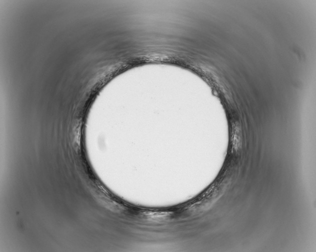 X0000111250495200908131210